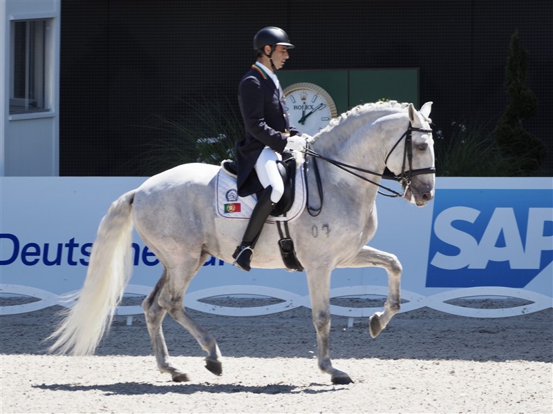 Rodrigo Torres fra Portugal på den 12-årige lusitano Fogoso Horsecampline er en malerisk og øvelsestærk repræsentant for sit lands race. Med en meget svær Kür, som ikke blev helt fejlfri, opnåede de en 13. plads i den 5* Kürfinale – godt gået blandt 33 heste at have kvalificeret sig blandt de 15 bedste. Men portugiserne har også Kyra Kyrklund som landstræner!