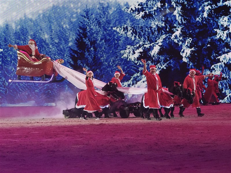 Også julemanden kommer svævende i sin kane trukket af shetlandsponyer.