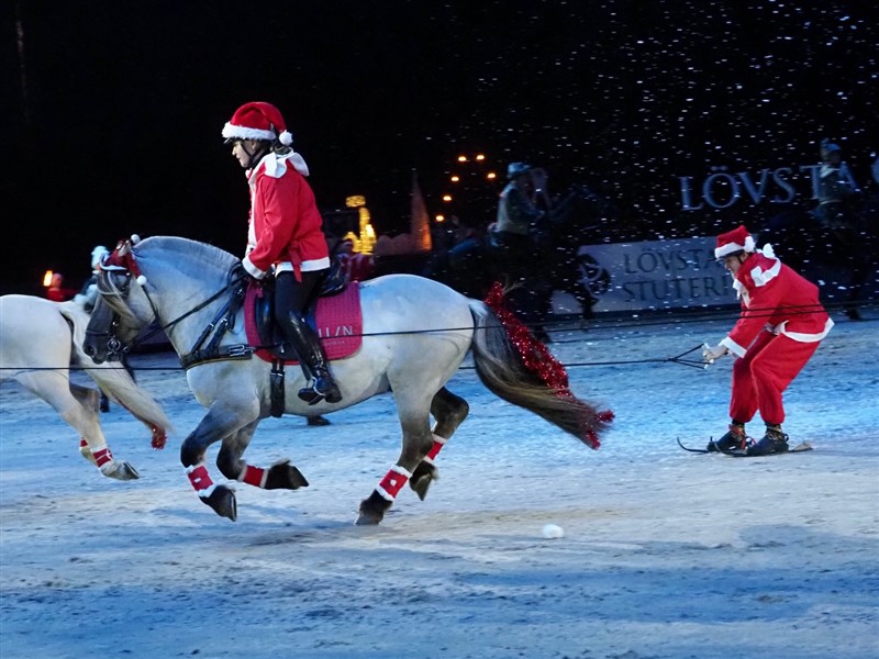 Så bliver det ikke mere julet – Skijöring på ridebanen af selveste julemanden!