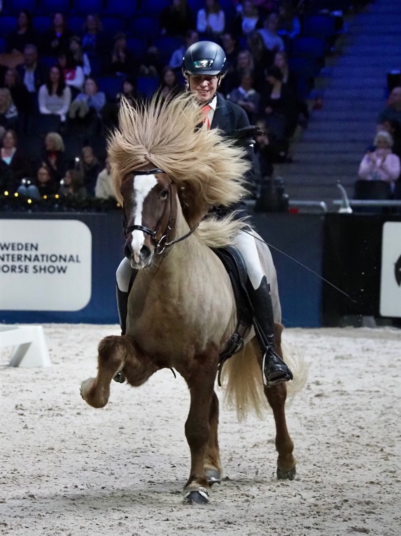 Danske Frederikke Stovgård på maleriske Austri blev en flot nr. tre i World Cup-konkurrencen i Tölt.